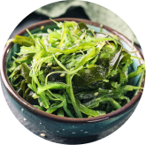 Fucoxanthin ingredient icon